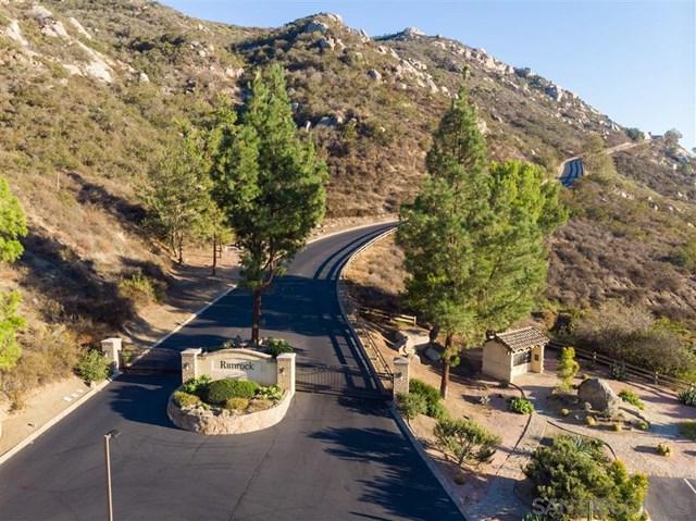 29432 Welk Highland Dr. - Photo 1