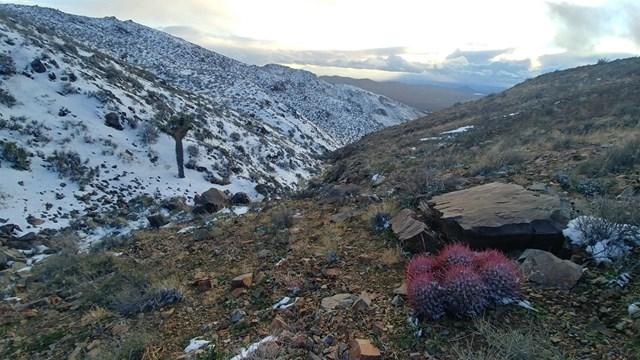 0 Sidewinder Mountain - Photo 1