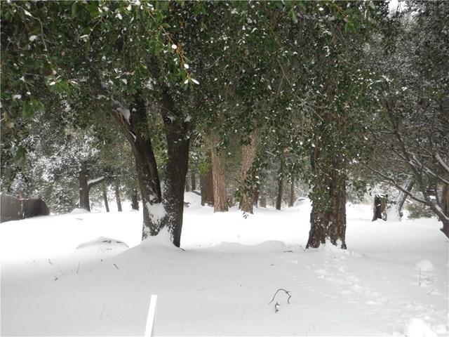 0 Pine Ridge Road - Photo 1