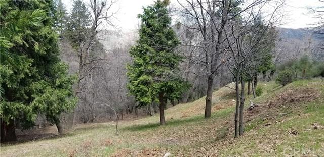 0-7-9 Fern Glen Road - Photo 1