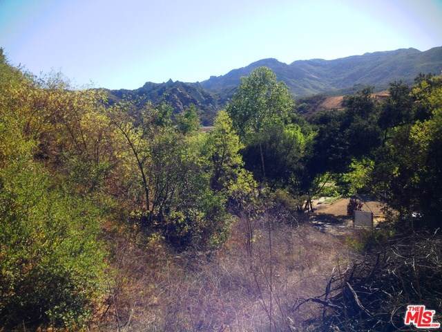 0 Old Topanga Canyon Road - Photo 1