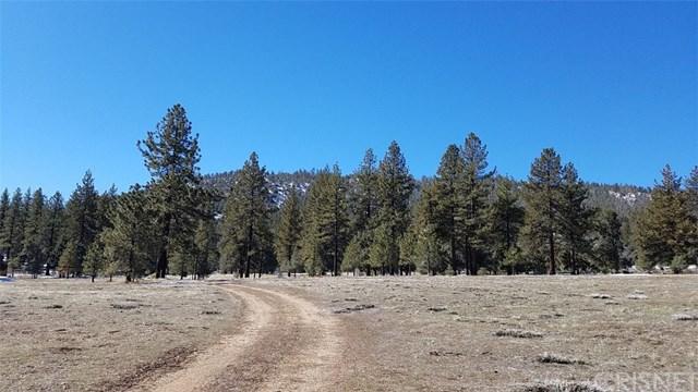 10878 Forest Edge Lane - Photo 1