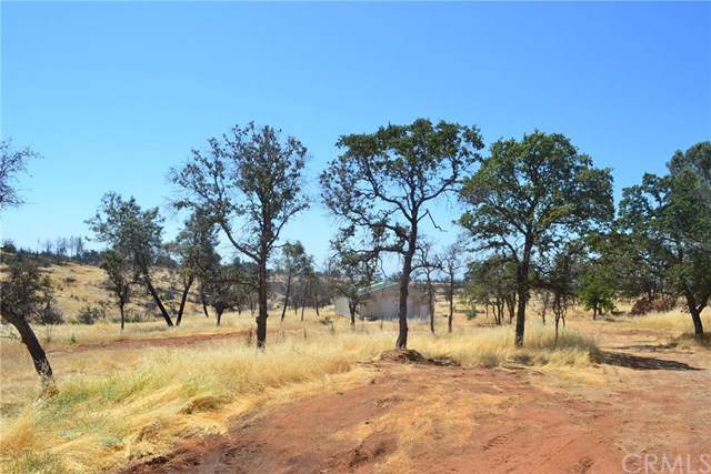 4380 Calernbar Road - Photo 1