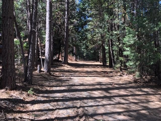 4700 Windfree - Photo 1