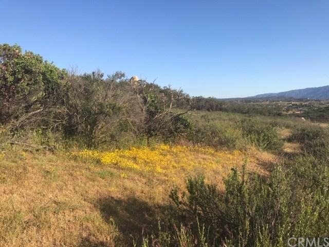 42065 Crazy Horse Canyon Road - Photo 1