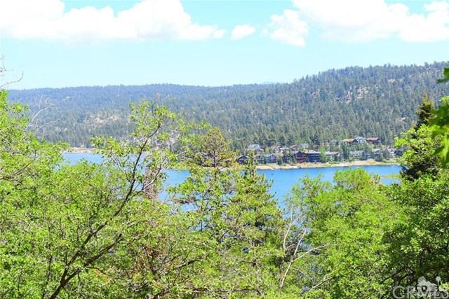 258 Big Bear - Photo 1