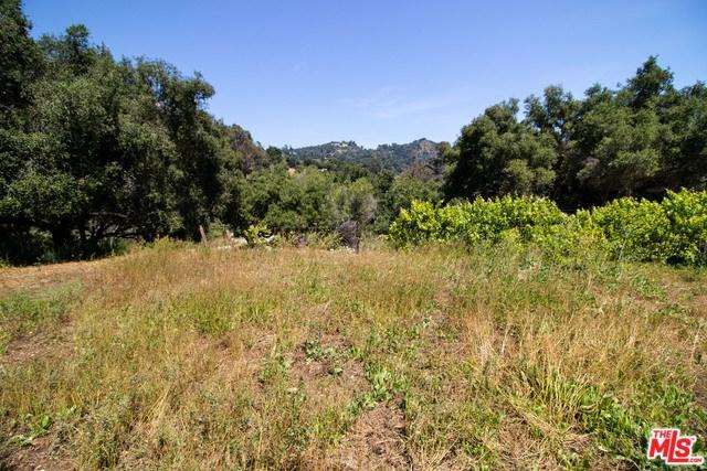 301 Old Topanga Canyon Road - Photo 1