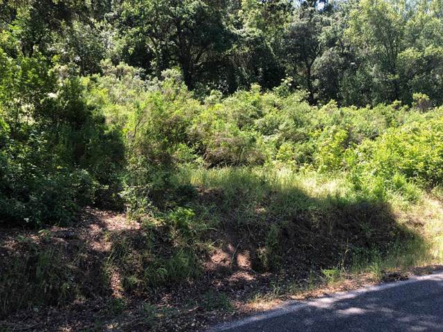 8821 Canada Road - Photo 1