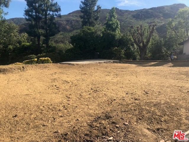29733 Mulholland Highway - Photo 1