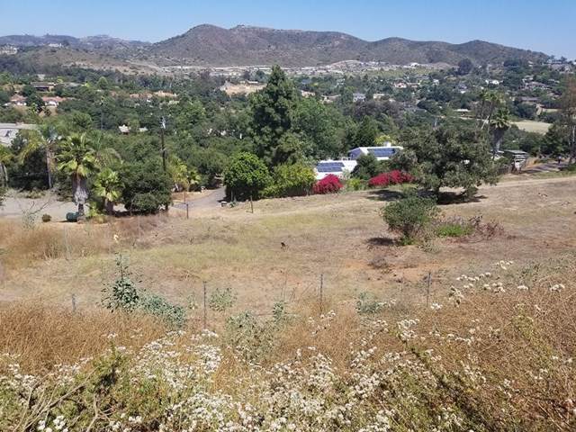 0 Buena Creek Rd - Photo 1