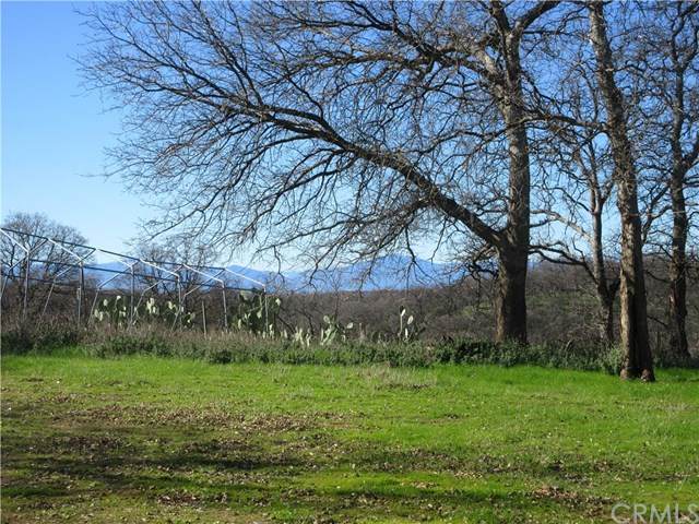 14615 Hanks Dr. - Photo 1