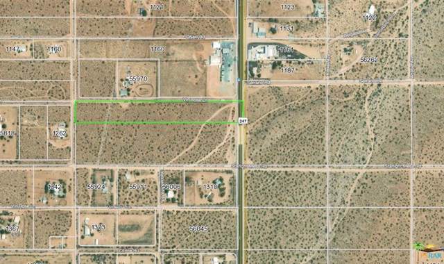 52 Old Woman Springs Highway - Photo 1