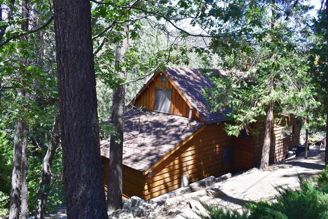 813 Lark Drive - Photo 1