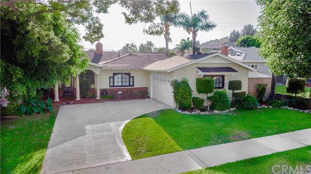 913 Hibiscus Street - Photo 1