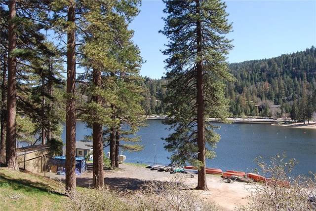 24272 Lake Drive - Photo 1