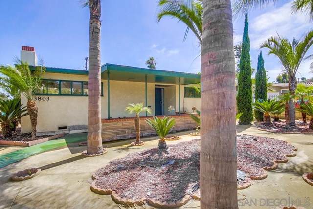 3803 Centraloma Drive - Photo 1