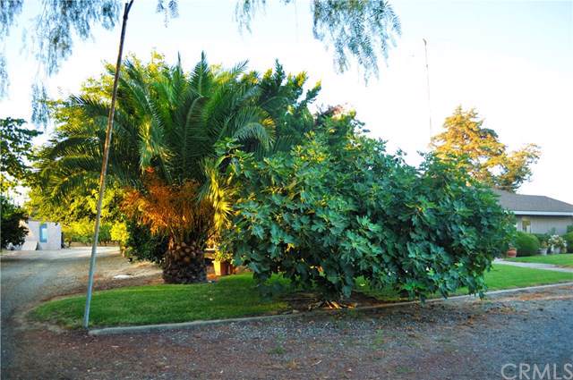 8686 Sunset Drive - Photo 1