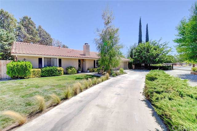 14915 Cashew Street - Photo 1