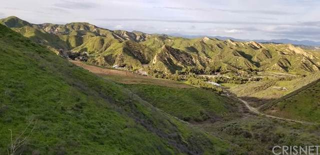 31010 San Martinez Road - Photo 1
