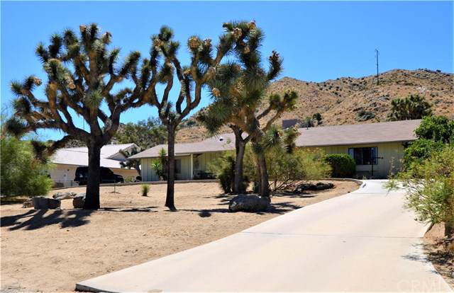 56599 Kismet Road - Photo 1