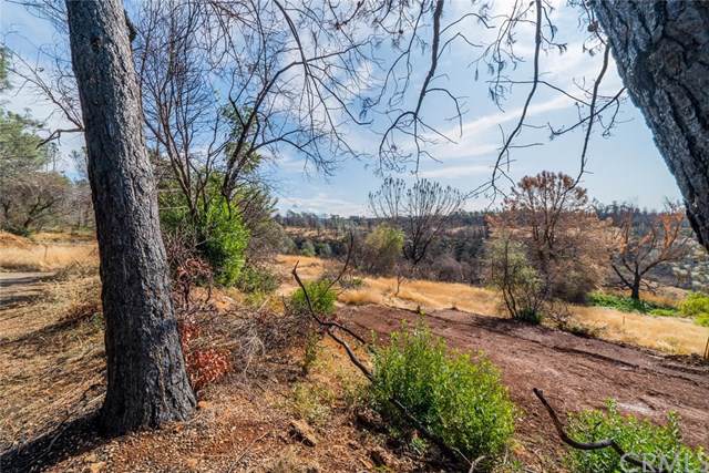 576 Belle Creek Lane - Photo 1