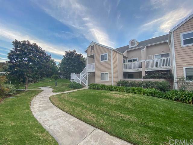 34040 Selva Road - Photo 1
