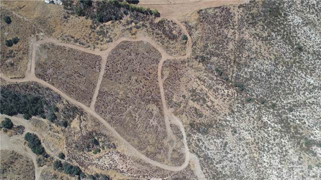 53 Bouquet Canyon - Photo 1