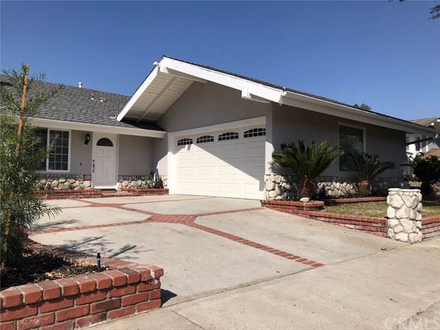 6225 Camino Manzano - Photo 1