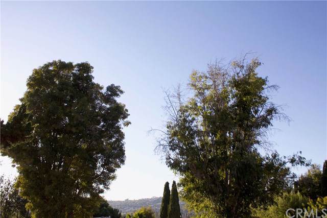 32802 Valle - Photo 1