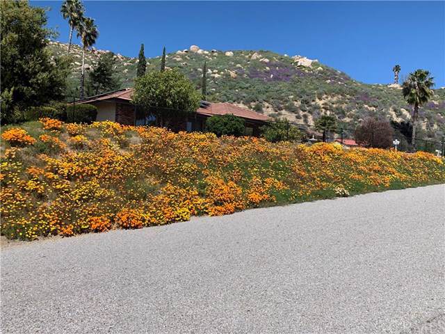 25960 Fran Lou Drive - Photo 1