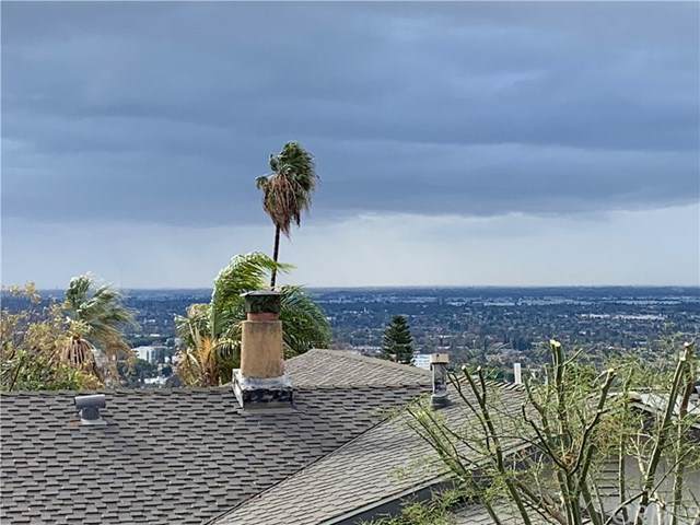 12736 Carinthia Drive - Photo 1