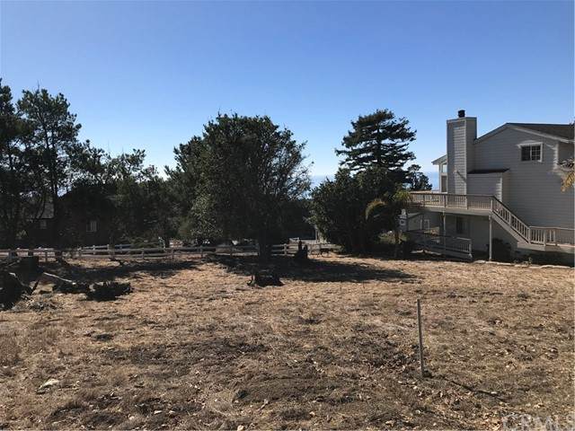 930 Drake Street - Photo 1