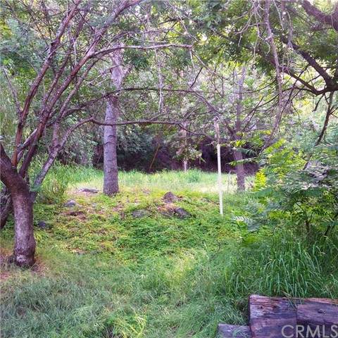 30500 Silverado Canyon Road - Photo 1