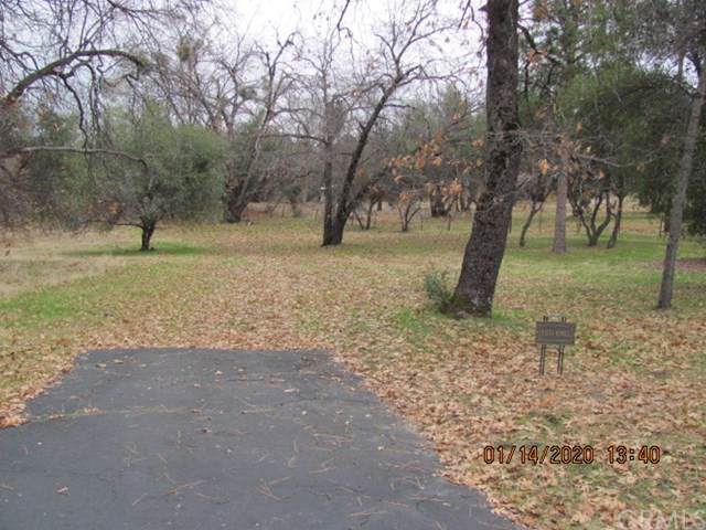 8 Blackberry Trail - Photo 1