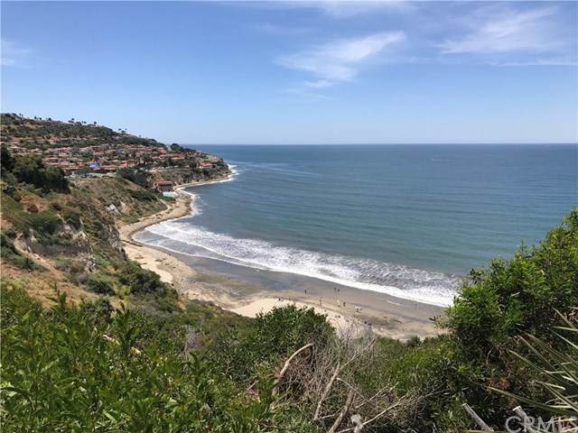 639 Paseo De La Playa - Photo 1