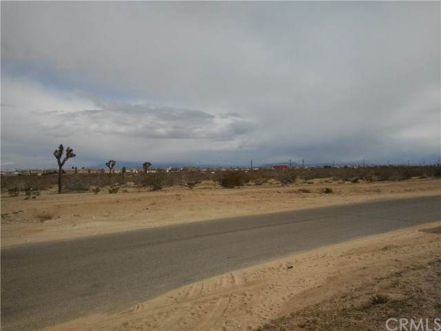 0 Hwy 395/ Bella Pine Rd - Photo 1