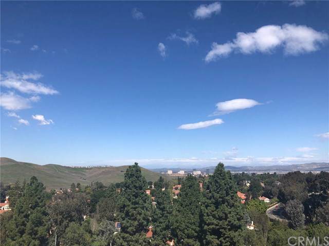 24055 Paseo Del Lago - Photo 1