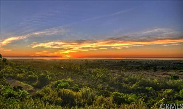1099 Mesa Bluff Drive - Photo 1