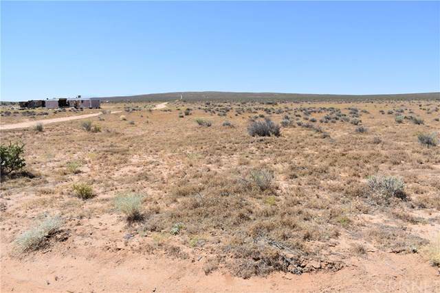 13000 Brentina Ave & 130th St - Photo 1