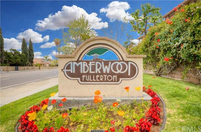 2335 Conejo Lane - Photo 1 2335 Conejo Lane - Photo 1