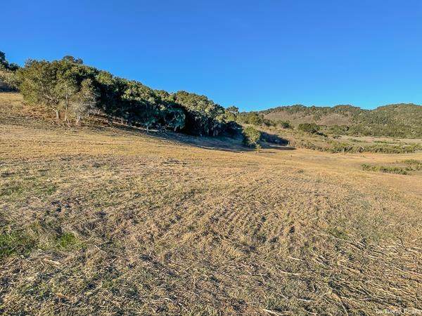 12 Mesa Trail - Photo 1