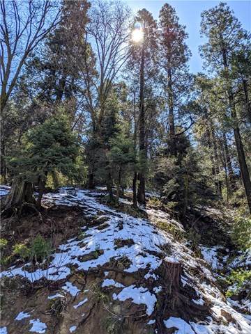 24003 Altdorf Drive - Photo 1