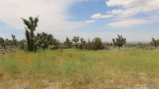 1150 Locust Road - Photo 1