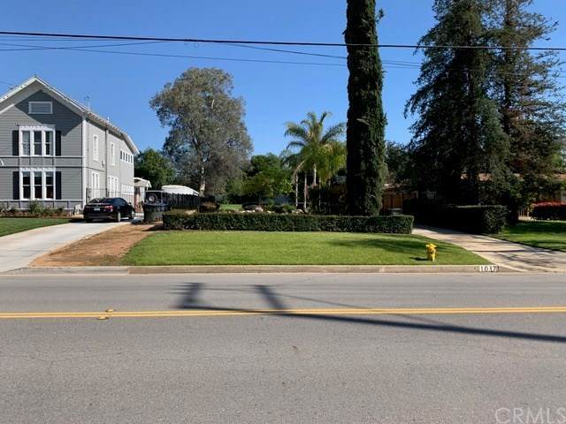 0 Palm - Photo 1
