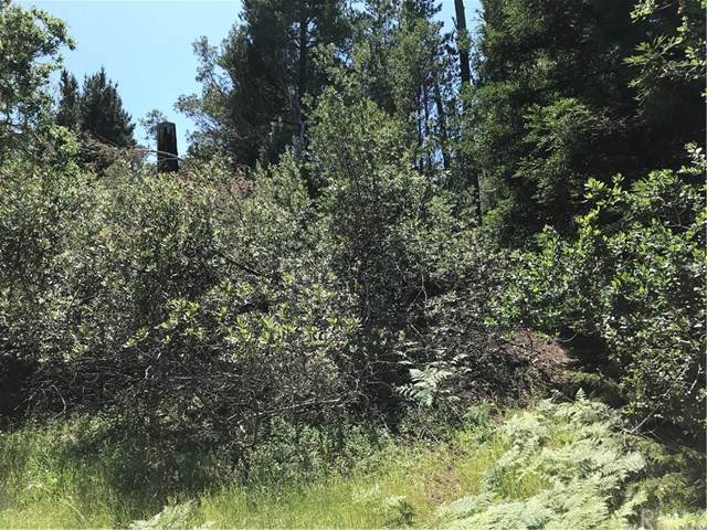 0 Langton Street - Photo 1