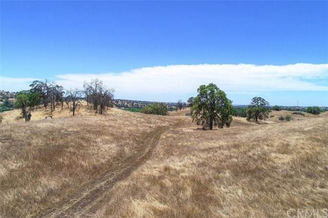 0-36.34 AC Olive Orchard Road - Photo 1
