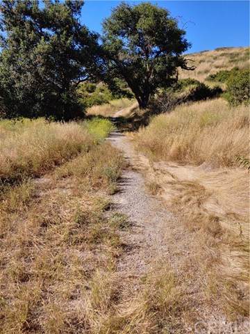 17342 Santiago Canyon Road - Photo 1 17342 Santiago Canyon Road - Photo 1