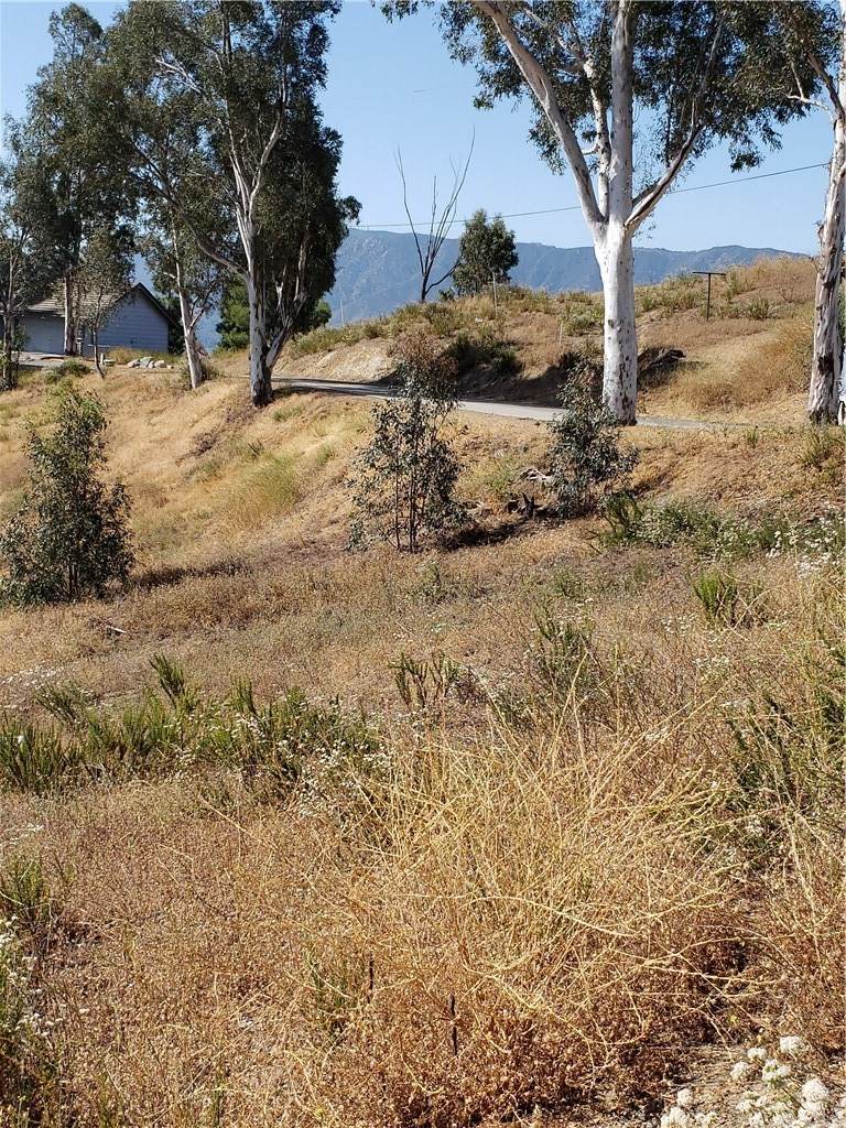 71 Howlett - Photo 1