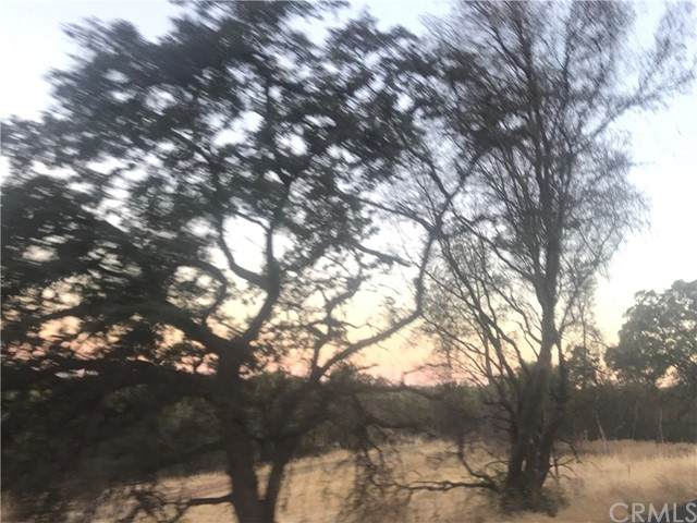 0 Hidden Mine - Photo 1