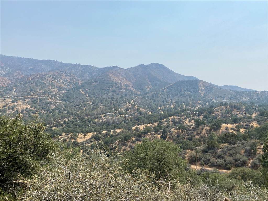 0 Land - Photo 1